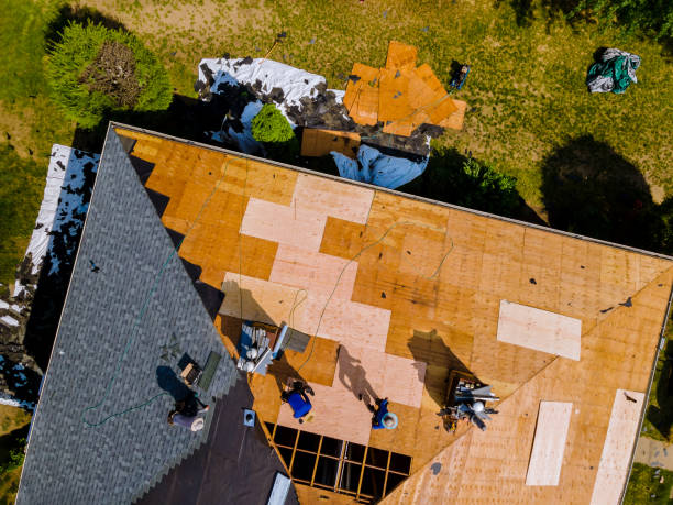 Best Roof Maintenance Services  in Andale, KS