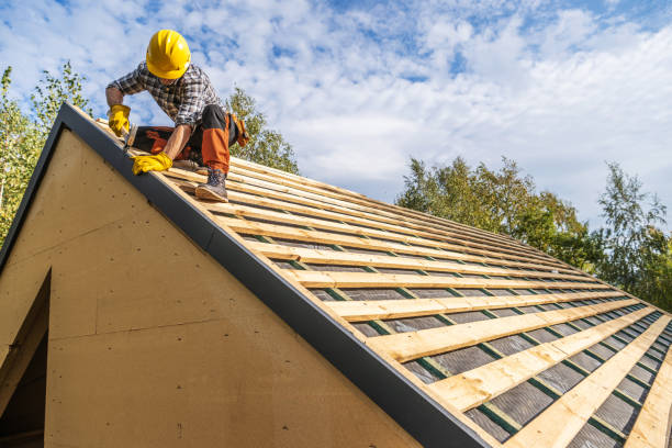 Best Roof Repair Services  in Andale, KS